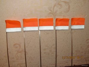IMG_4413.JPG