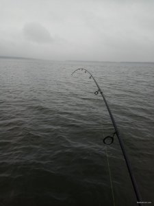 IMG_20171111_081004.jpg