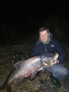 IMG_20171111_174444.jpg