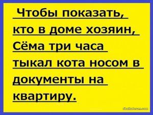 IMG-55613d3a017b53a2a766a12a7d2b6714-V.jpg
