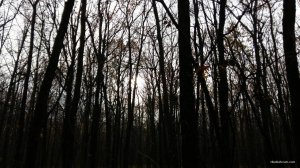 IMG-271cc269e4b1f2de9c12af0f87c2c18b-V.jpg