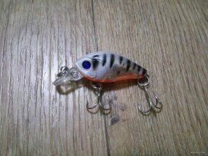 IMG_20171009_222936.jpg