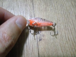 IMG_20171009_222944.jpg