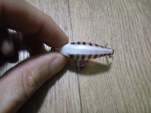 IMG_20171009_222952.jpg