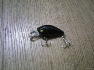 IMG_20171009_223200.jpg