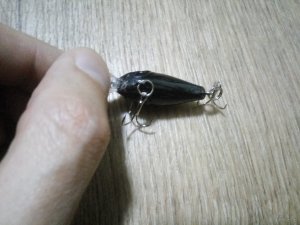 IMG_20171009_223214.jpg