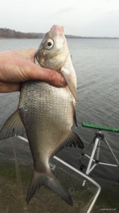20171114_124135.jpg