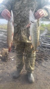 20171113_140311.jpg