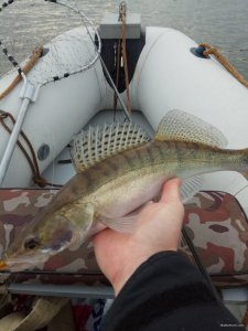 IMG_20171114_095313.jpg
