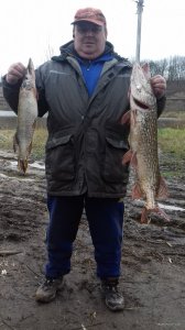 20171115_140216.jpg