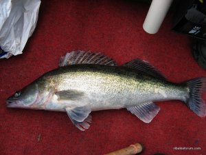 IMG_2790.JPG
