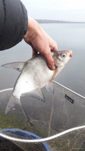 20171116_103700.jpg