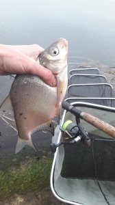 20171116_110238.jpg