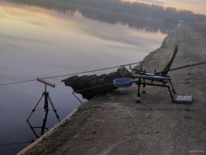 IMG_20171116_062720.jpg