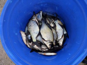 IMG_20171116_153539.jpg