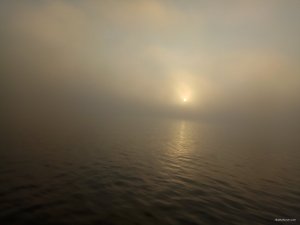 IMG_20171117_072339.jpg