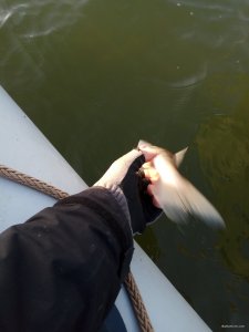 IMG_20171117_090219.jpg