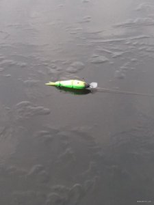 20171118_114840.jpg