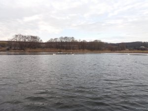 20171118_122430.jpg