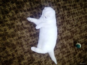 IMG_20171119_114056.jpg