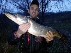 IMG_20171118_155942.jpg