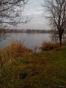 IMG_20171118_104456.jpg
