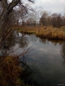 IMG_20171118_105716.jpg