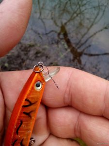 IMG_20171118_144206.jpg