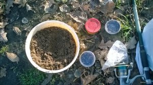 WP_20171118_13_29_40_Pro.jpg