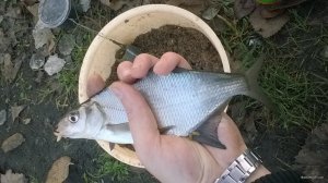 WP_20171118_15_05_44_Pro.jpg