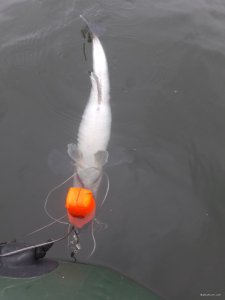 20171119_123320.jpg