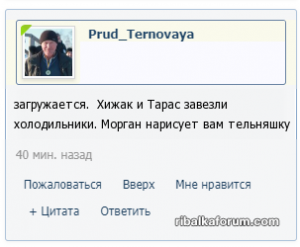 тельняшку.png