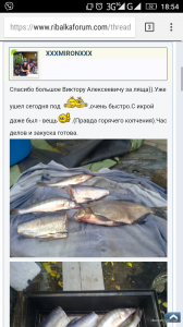 Screenshot_2017-11-20-18-54-02.png