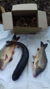 20171119_093002.jpg
