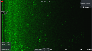 Копия Screenshot_2017-11-17_15.44.13.png