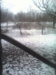IMG_20171121_104218.jpg