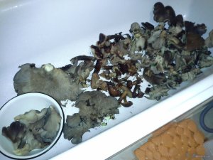 20171119_185039.jpg