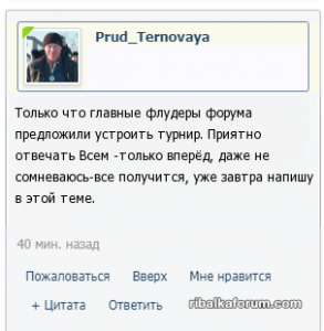 теме_.png