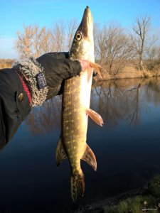 WP_20171118_12_05_15_Pro.jpg
