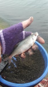 20171122_095911.jpg