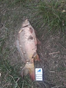 20170925_071457.jpg