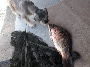20170919_075317.jpg