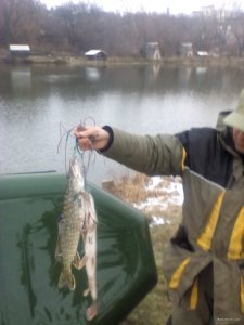 IMG_20171125_145453.jpg
