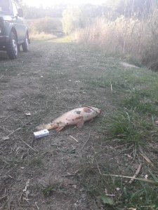 20170925_071536.jpg