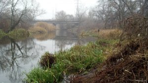 IMG_20171126_135133_988[1].jpg