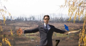 tern.jpg