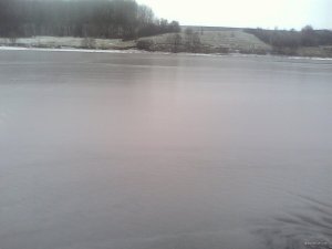 IMG_20171127_094928.jpg