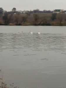 IMG_20171127_104844.jpg