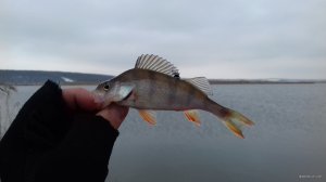 20171127_111745.jpg