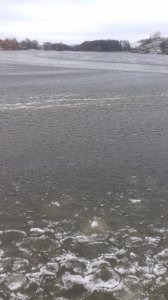 20171129_093534.jpg